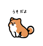 いつでも使える柴犬（赤柴）（個別スタンプ：13）