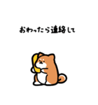 いつでも使える柴犬（赤柴）（個別スタンプ：15）