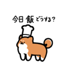 いつでも使える柴犬（赤柴）（個別スタンプ：21）