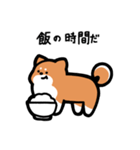 いつでも使える柴犬（赤柴）（個別スタンプ：22）