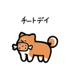 いつでも使える柴犬（赤柴）（個別スタンプ：23）