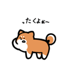 いつでも使える柴犬（赤柴）（個別スタンプ：27）