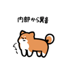 いつでも使える柴犬（赤柴）（個別スタンプ：28）