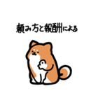 いつでも使える柴犬（赤柴）（個別スタンプ：29）