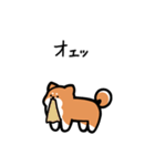 いつでも使える柴犬（赤柴）（個別スタンプ：30）