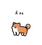 いつでも使える柴犬（赤柴）（個別スタンプ：34）