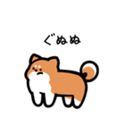 いつでも使える柴犬（赤柴）（個別スタンプ：37）