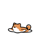 いつでも使える柴犬（赤柴）（個別スタンプ：39）