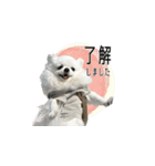 毎日ぽぽ♡（個別スタンプ：15）