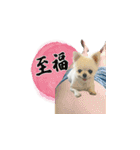 毎日ぽぽ♡（個別スタンプ：25）