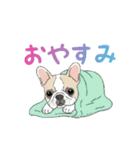 フレンチブルドッグ（ハニーパイド）（個別スタンプ：3）