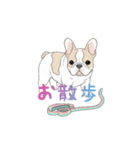 フレンチブルドッグ（ハニーパイド）（個別スタンプ：6）