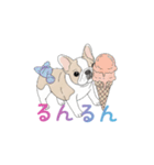 フレンチブルドッグ（ハニーパイド）（個別スタンプ：9）