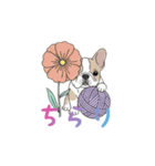 フレンチブルドッグ（ハニーパイド）（個別スタンプ：16）
