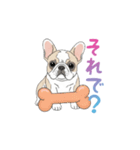フレンチブルドッグ（ハニーパイド）（個別スタンプ：18）
