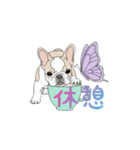 フレンチブルドッグ（ハニーパイド）（個別スタンプ：21）