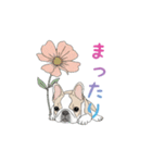 フレンチブルドッグ（ハニーパイド）（個別スタンプ：22）
