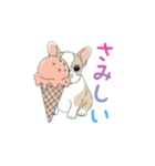 フレンチブルドッグ（ハニーパイド）（個別スタンプ：25）