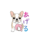 フレンチブルドッグ（ハニーパイド）（個別スタンプ：26）