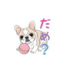 フレンチブルドッグ（ハニーパイド）（個別スタンプ：29）