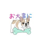 フレンチブルドッグ（ハニーパイド）（個別スタンプ：31）