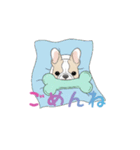 フレンチブルドッグ（ハニーパイド）（個別スタンプ：37）