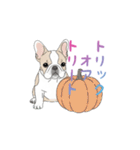 フレンチブルドッグ（ハニーパイド）（個別スタンプ：40）