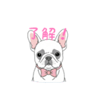 フレンチブルドッグ（クリーム）（個別スタンプ：1）