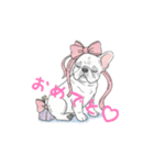 フレンチブルドッグ（クリーム）（個別スタンプ：6）
