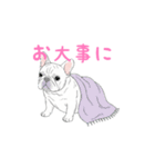 フレンチブルドッグ（クリーム）（個別スタンプ：23）