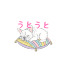 フレンチブルドッグ（クリーム）（個別スタンプ：25）