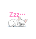 フレンチブルドッグ（クリーム）（個別スタンプ：29）