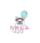 フレンチブルドッグ（クリーム）（個別スタンプ：30）
