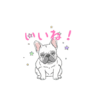 フレンチブルドッグ（クリーム）（個別スタンプ：33）