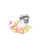 フレンチブルドッグ（クリーム）（個別スタンプ：35）