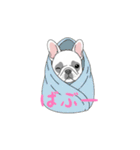 フレンチブルドッグ（クリーム）（個別スタンプ：36）