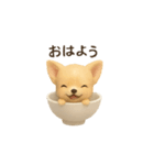 お茶碗犬 おちゃわんわん チワワヨーキー（個別スタンプ：13）