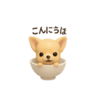 お茶碗犬 おちゃわんわん チワワヨーキー（個別スタンプ：14）
