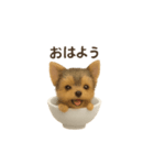 お茶碗犬 おちゃわんわん チワワヨーキー（個別スタンプ：19）