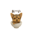 お茶碗犬 おちゃわんわん チワワヨーキー（個別スタンプ：25）