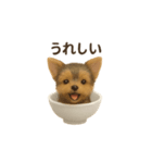 お茶碗犬 おちゃわんわん チワワヨーキー（個別スタンプ：31）