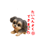 チワマルのメイちゃん（個別スタンプ：7）