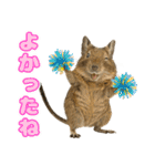 デグーのほっこり日和（個別スタンプ：3）