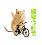 デグーのほっこり日和（個別スタンプ：14）