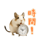デグーのほっこり日和（個別スタンプ：19）