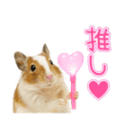 デグーのほっこり日和（個別スタンプ：20）