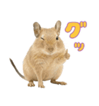 デグーのほっこり日和（個別スタンプ：26）