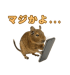 デグーのほっこり日和（個別スタンプ：28）