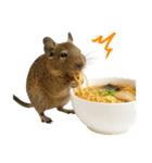デグーのほっこり日和（個別スタンプ：37）