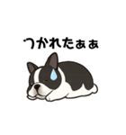 フレンチちゃうでボステリでんねん（個別スタンプ：3）